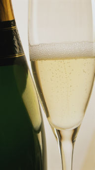 Champagne Pink Champagne String Quartet for concerts, parties, celebrations & corporate functions